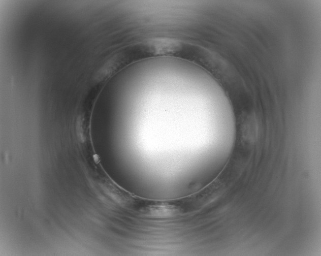 X0000069410316200605121248