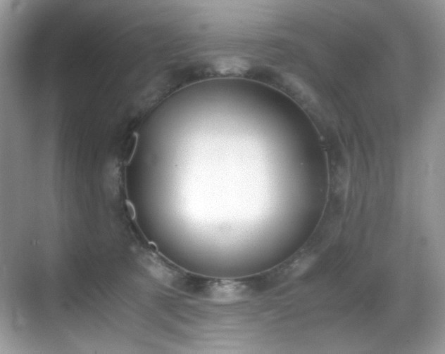 X0000069410321200605121248