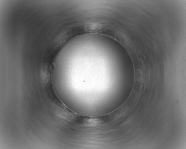X0000069410324200605121248