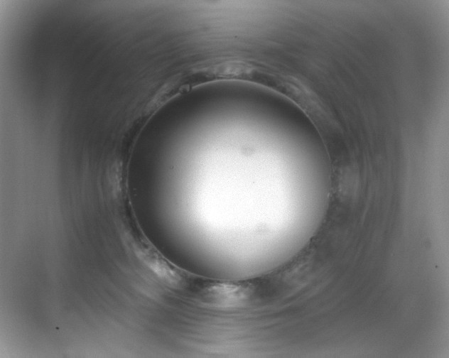 X0000069410326200605121248
