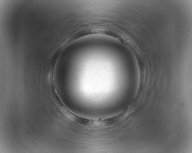 X0000069410329200605121247