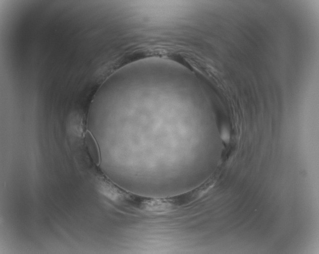 X0000069410331200605121247