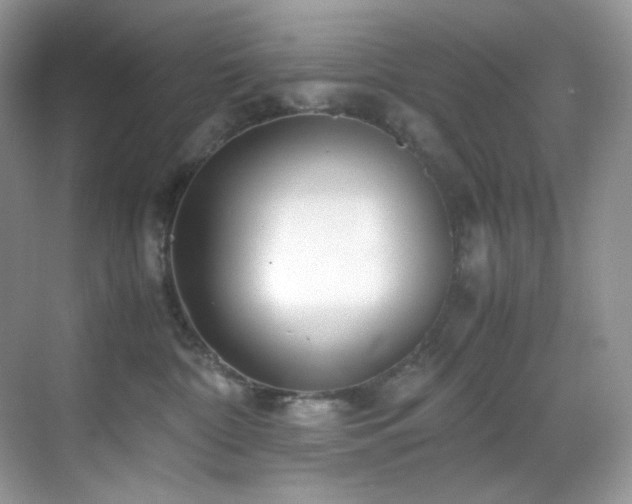 X0000069410332200605121247