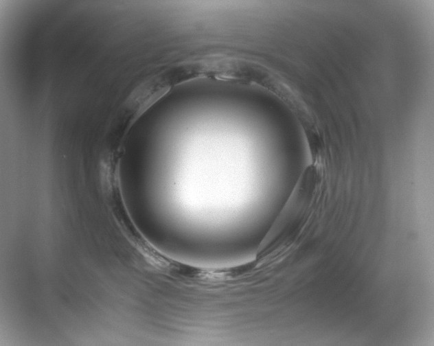 X0000069410333200605121247