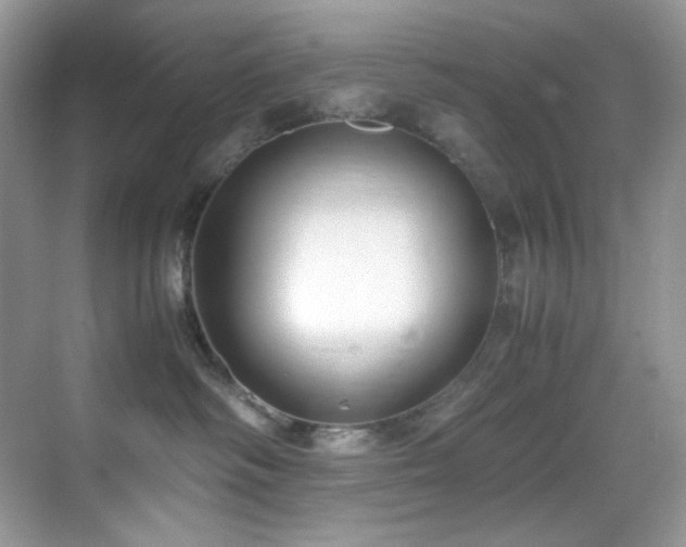 X0000069410334200605121247