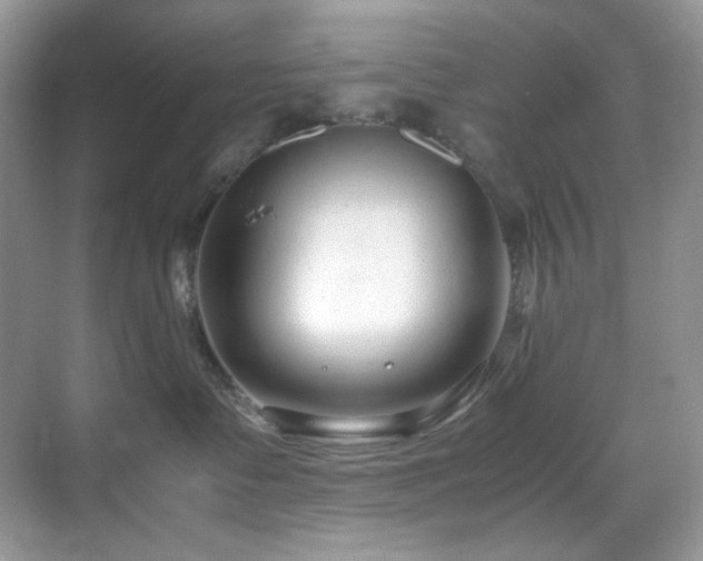 X0000069410335200605121247