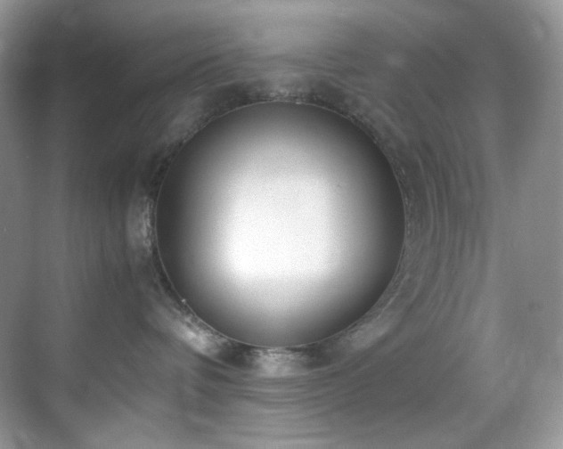 X0000069410336200605121247