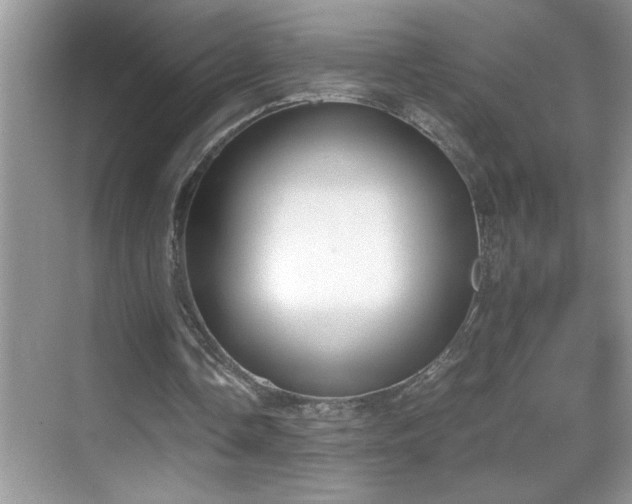 X0000069410338200605121247