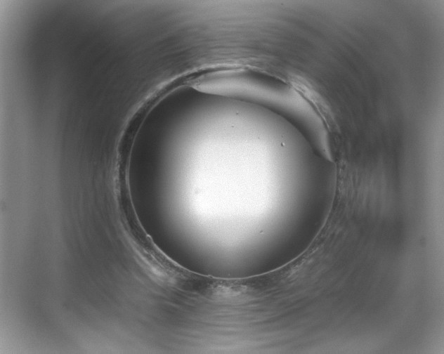 X0000069410346200605121247
