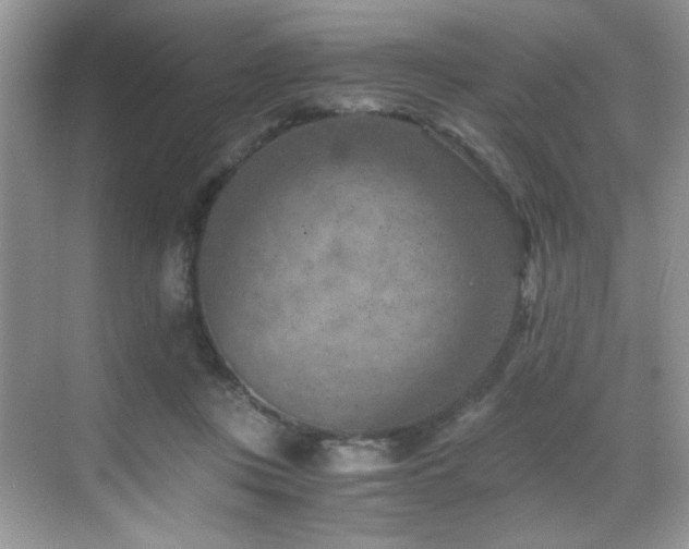 X0000069410359200605121247