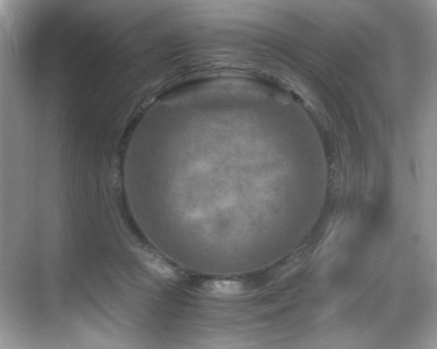 X0000069410361200605121247