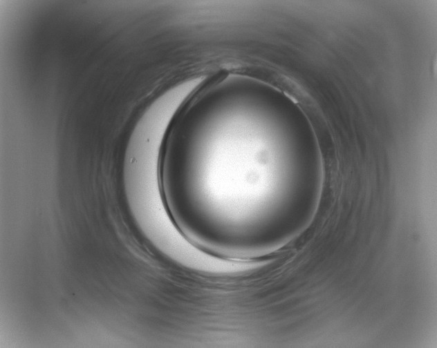 X0000069410362200605121247
