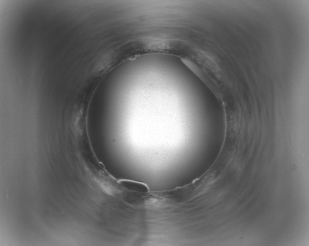 X0000069410364200605121247