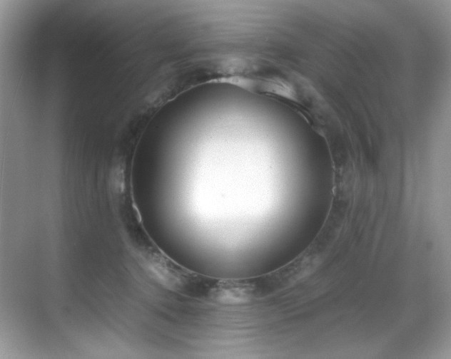 X0000069410368200605121247