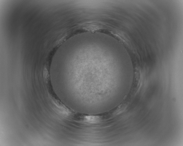 X0000069410371200605121247
