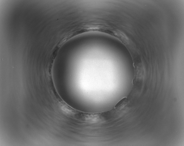 X0000069410377200605121247