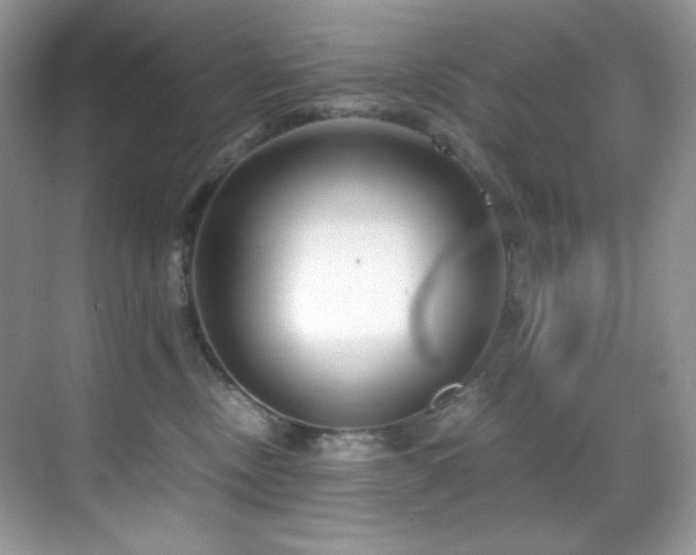 X0000069410378200605121247