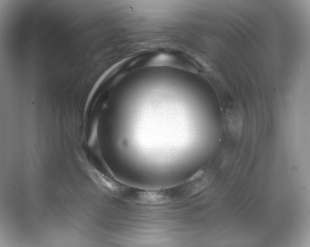 X0000069410380200605121247