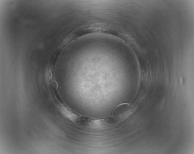 X0000069410382200605121247