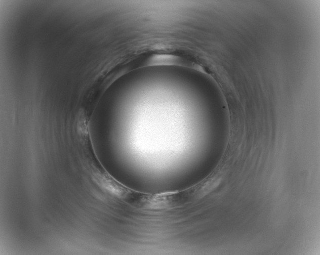 X0000069410384200605121247