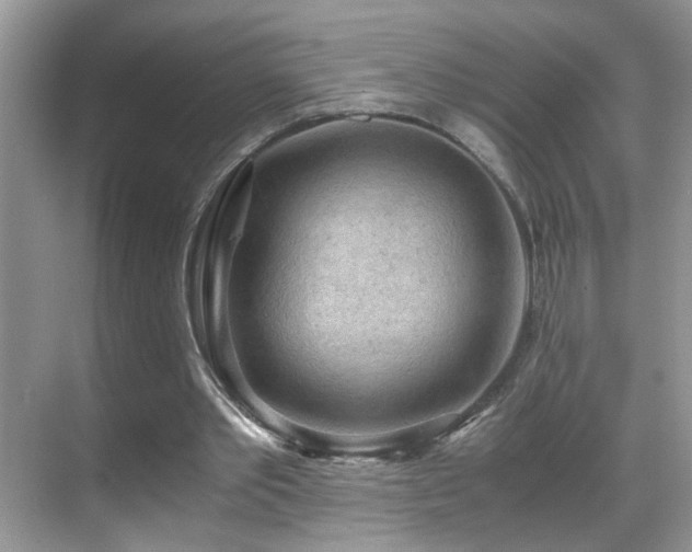 X0000069410389200605121246