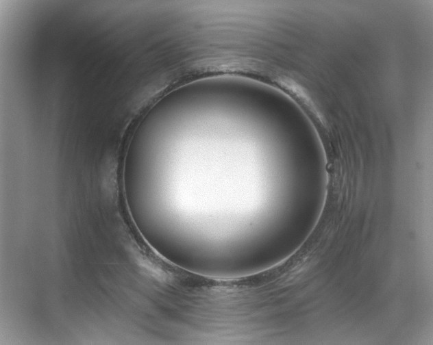 X0000069410394200605121246