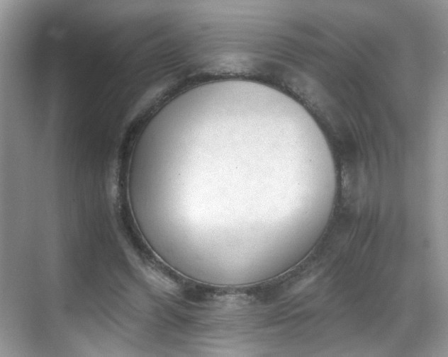 X0000069410396200605121246