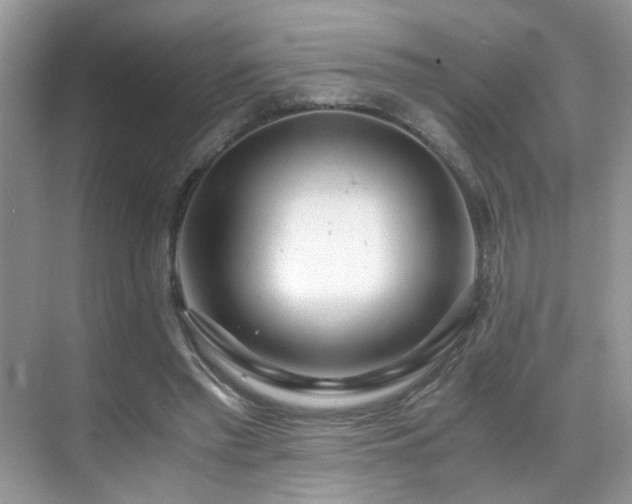 X0000069410397200605121246