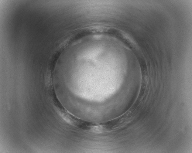 X0000069410411200605121246