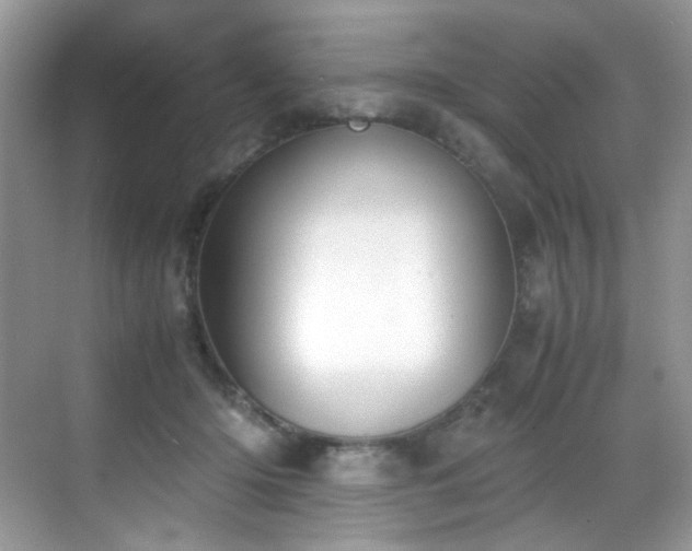 X0000069410414200605121246