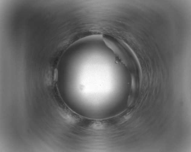 X0000069410416200605121246