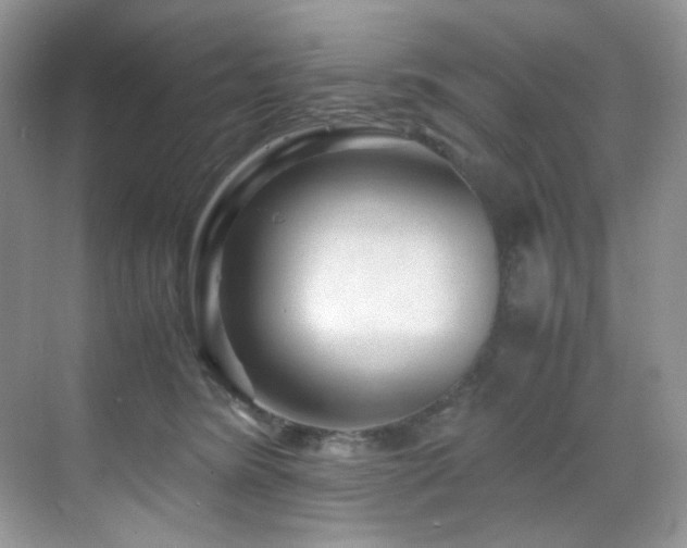 X0000069410420200605121246