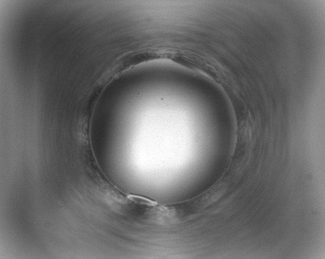 X0000069410421200605121246