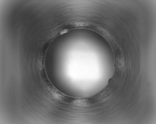 X0000069410422200605121246