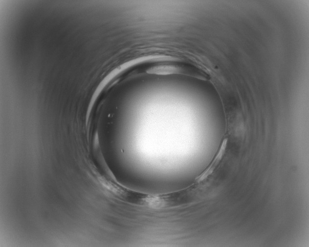 X0000069410425200605121246