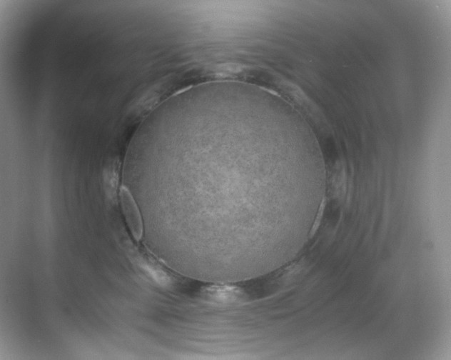 X0000069410427200605121246