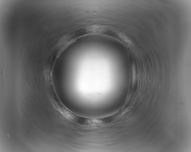 X0000069410429200605121246
