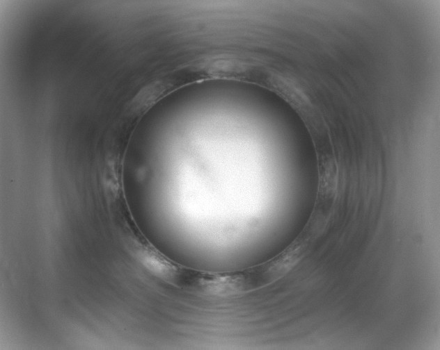 X0000069410430200605121246