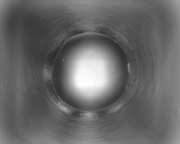 X0000069410432200605121246