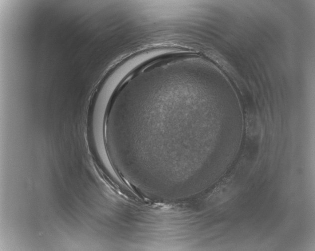 X0000069410434200605121245
