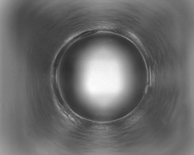 X0000069410435200605121245