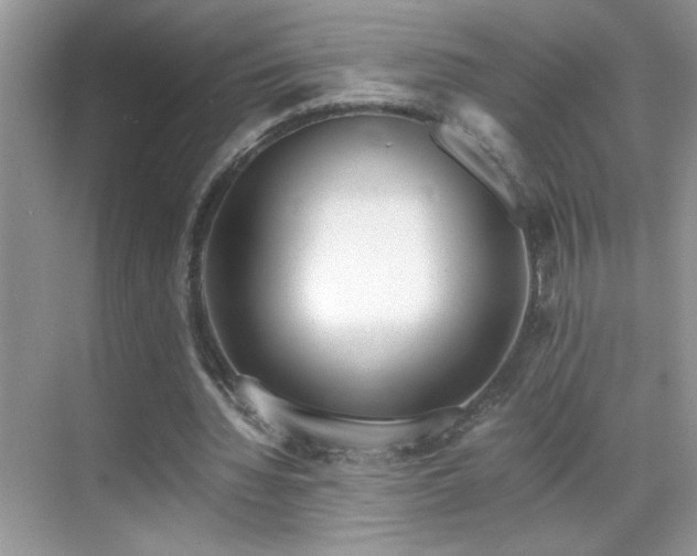X0000069410436200605121245