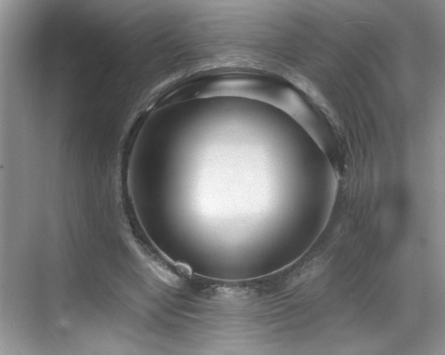 X0000069410442200605121245