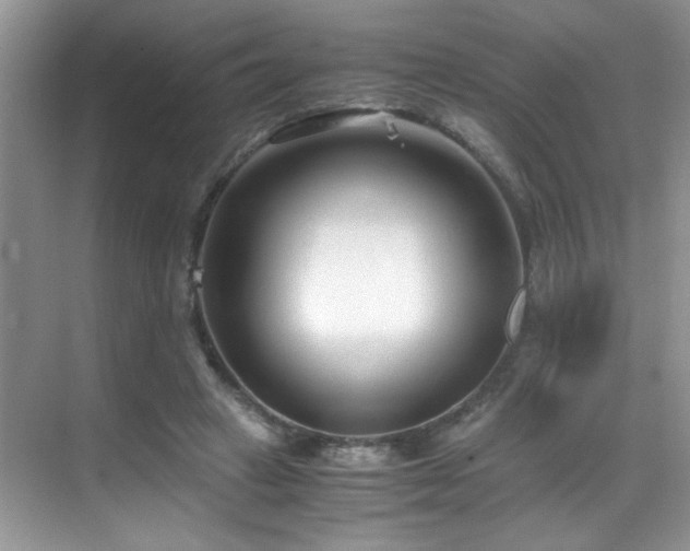 X0000069410449200605121245