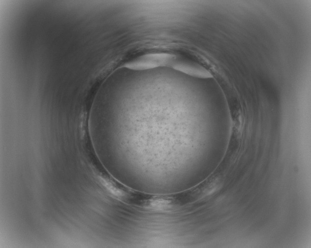 X0000069410462200605121245