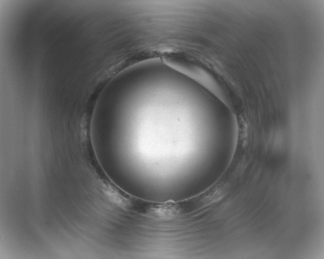 X0000069410466200605121246