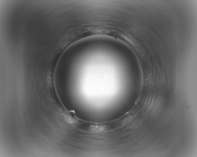 X0000069410469200605121246