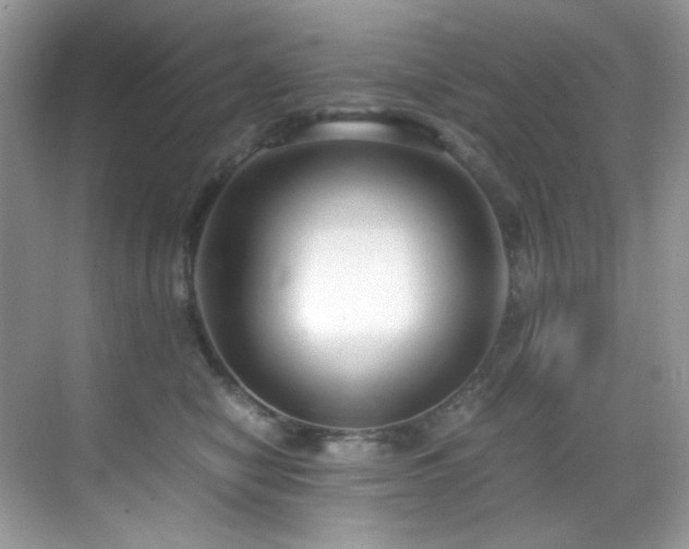 X0000069410470200605121246