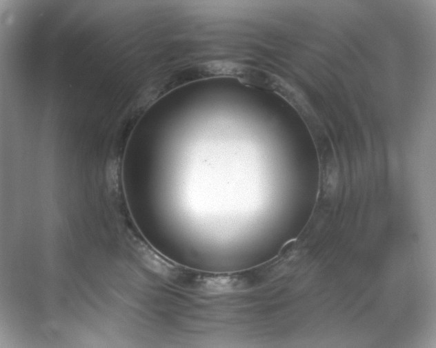 X0000069410473200605121246