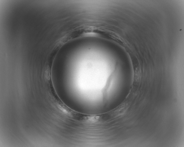 X0000069410474200605121246